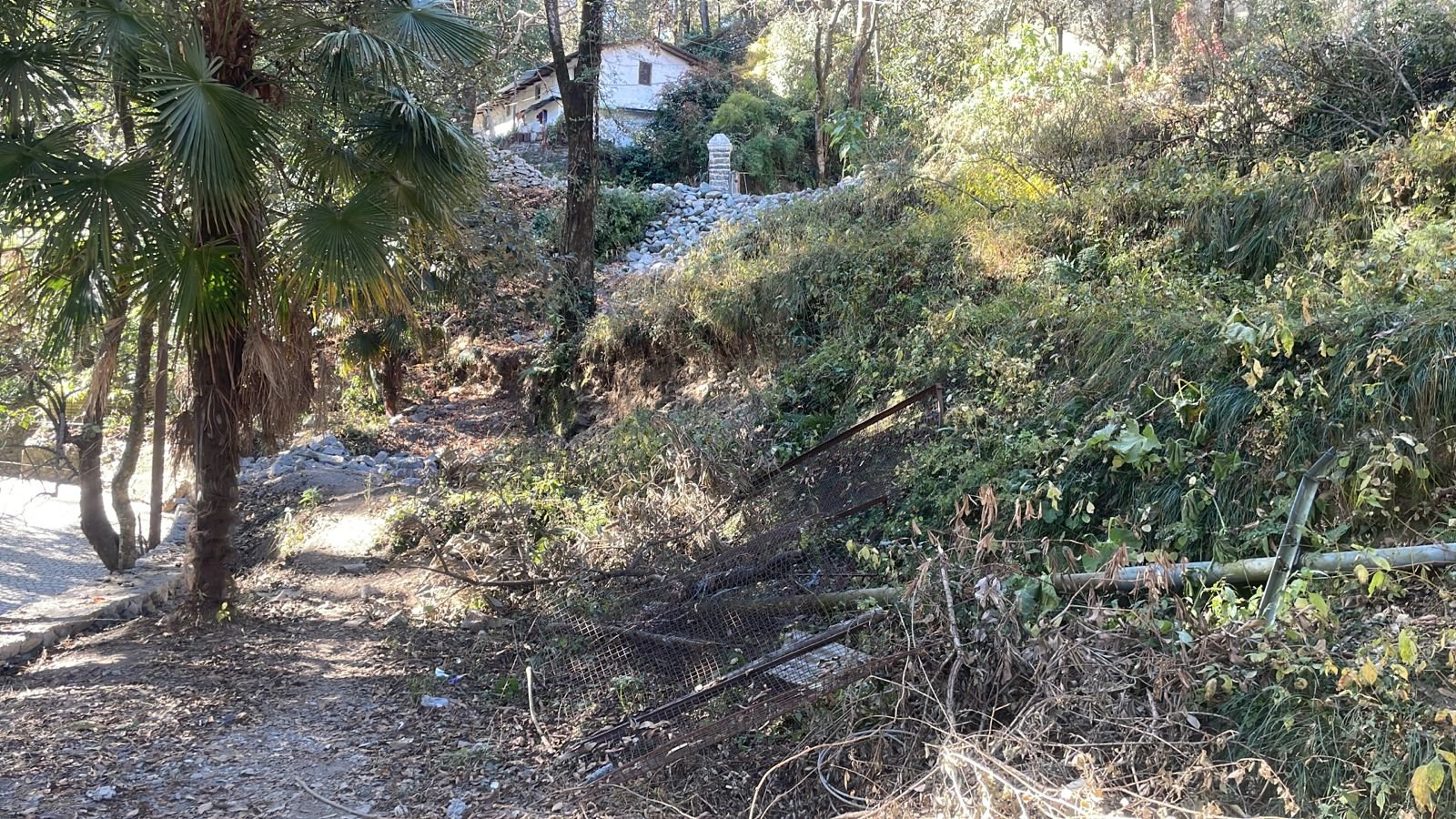 WhatsApp Image 2024 12 16 at 11.14.22 (1)