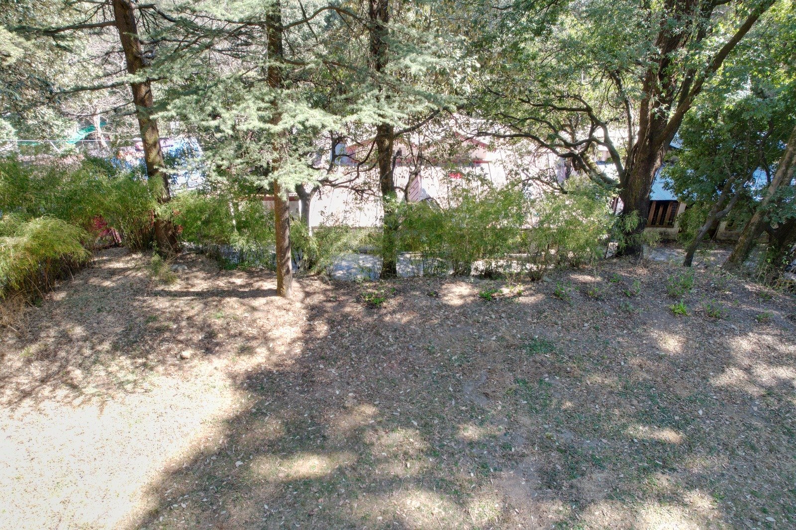 WhatsApp Image 2025 08 07 at 1.22.47 PM (1)